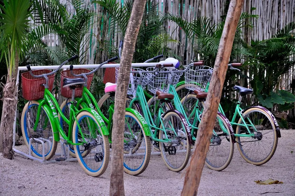 ****  Hotel Viento De Mar Tulum Mexiko